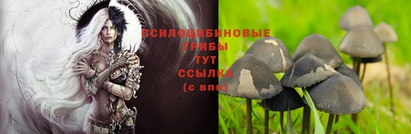 кокаин VHQ Белокуриха
